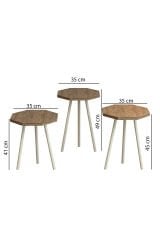 3'lü Zigon Sehpa Sekizgen Model Zigon Sehpa Gürgen Ayak