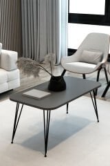 Dikdörtgen Orta Sehpa Oval Kenar Dekoratif Sehpa Orta Sehpa Metal Tel Ayak