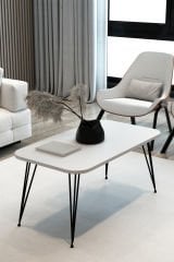 Dikdörtgen Orta Sehpa Oval Kenar Dekoratif Sehpa Orta Sehpa Metal Tel Ayak